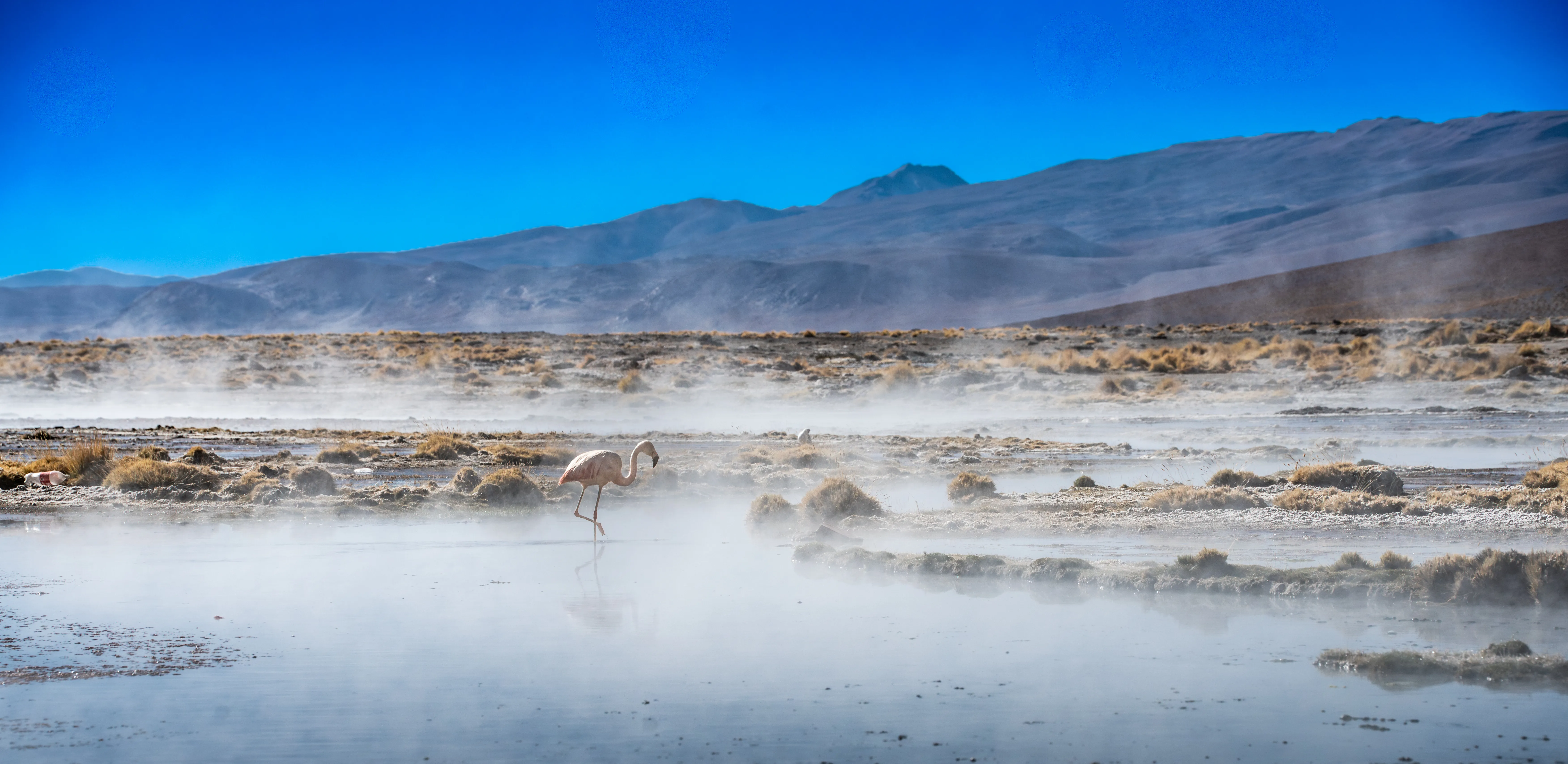 Uyuni 8