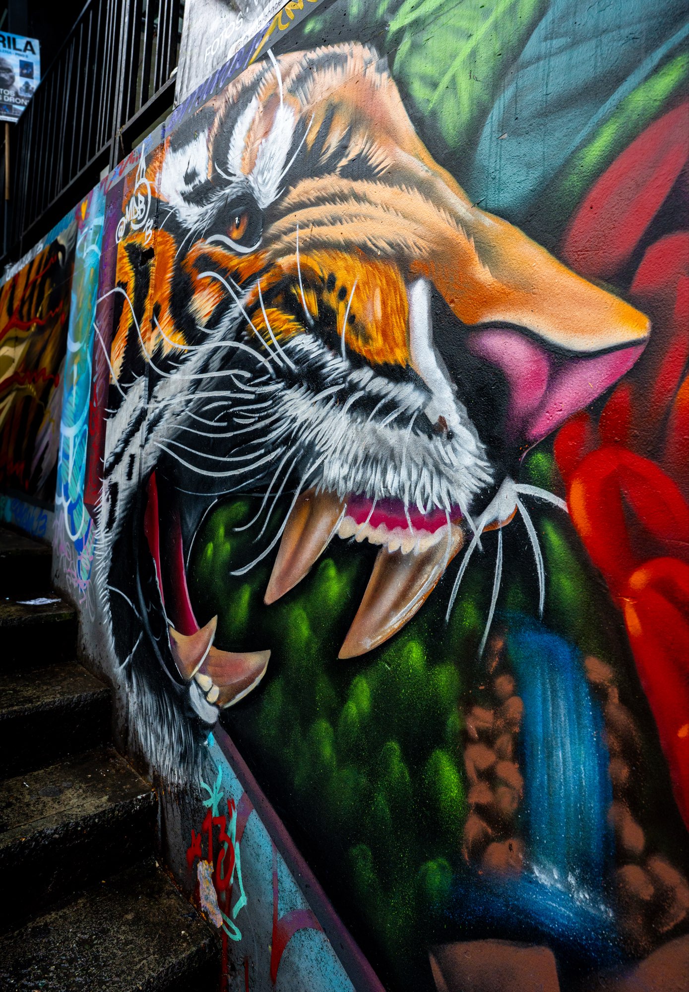 Medellín 4