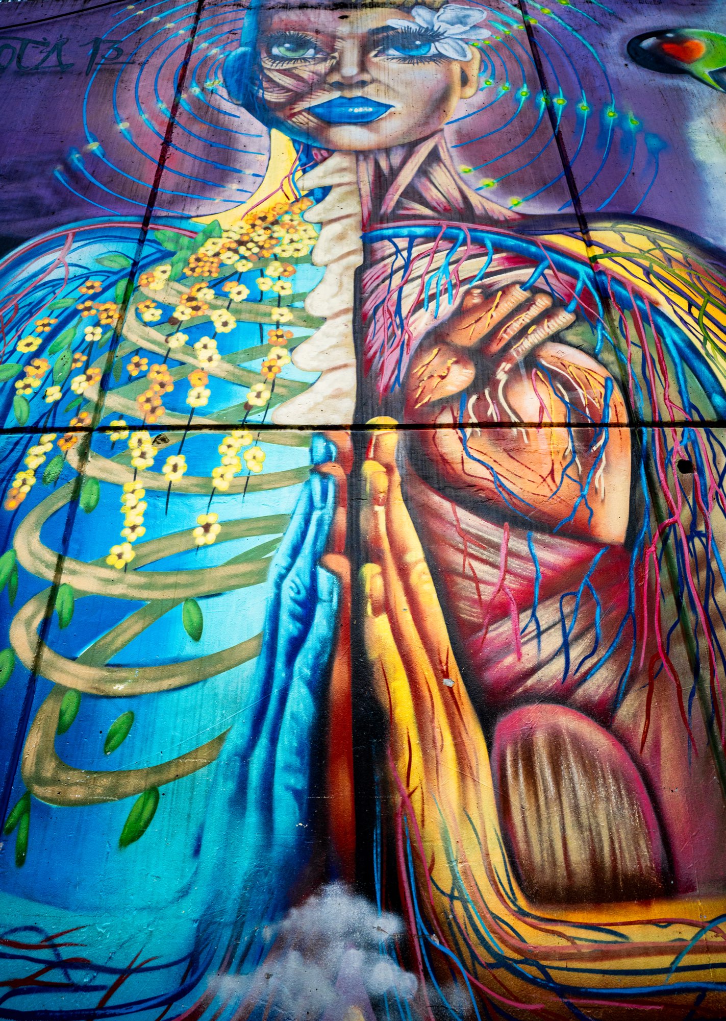 Medellín 5