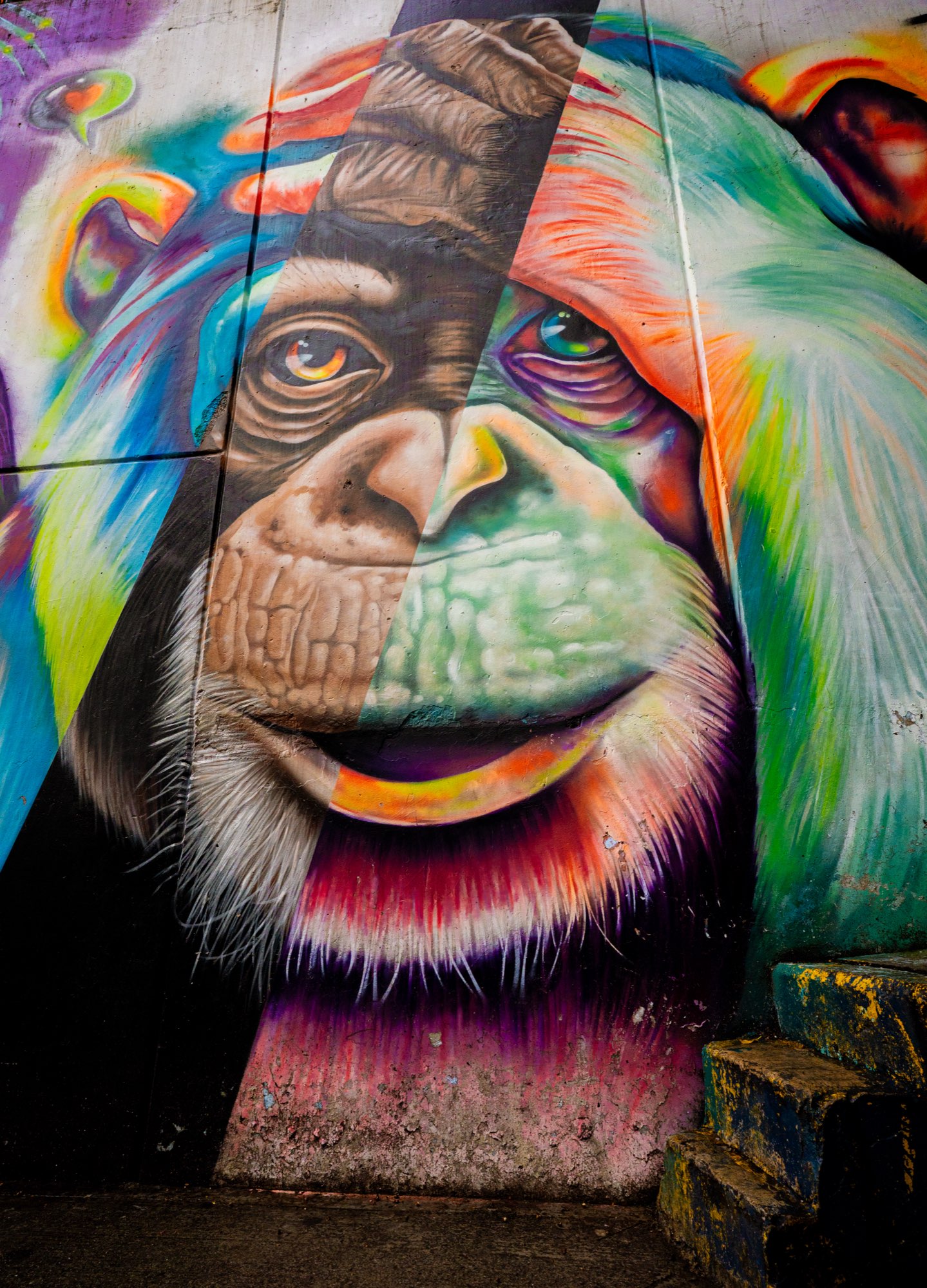 Medellín 6