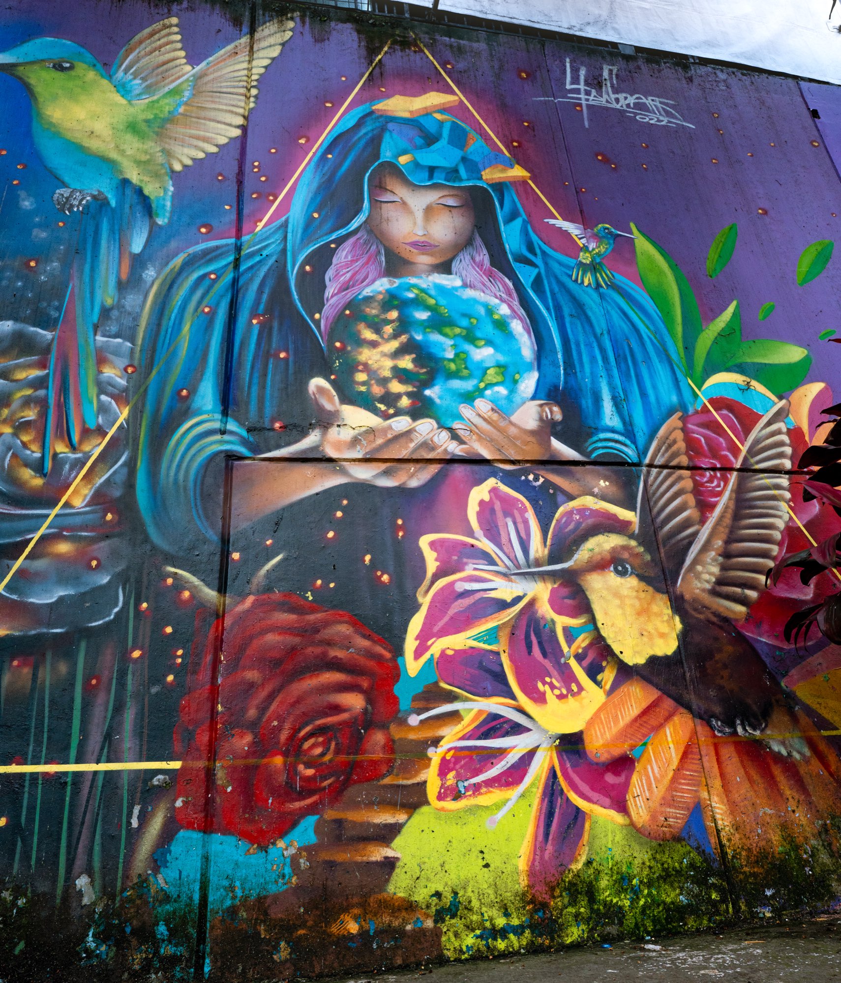 Medellín 7