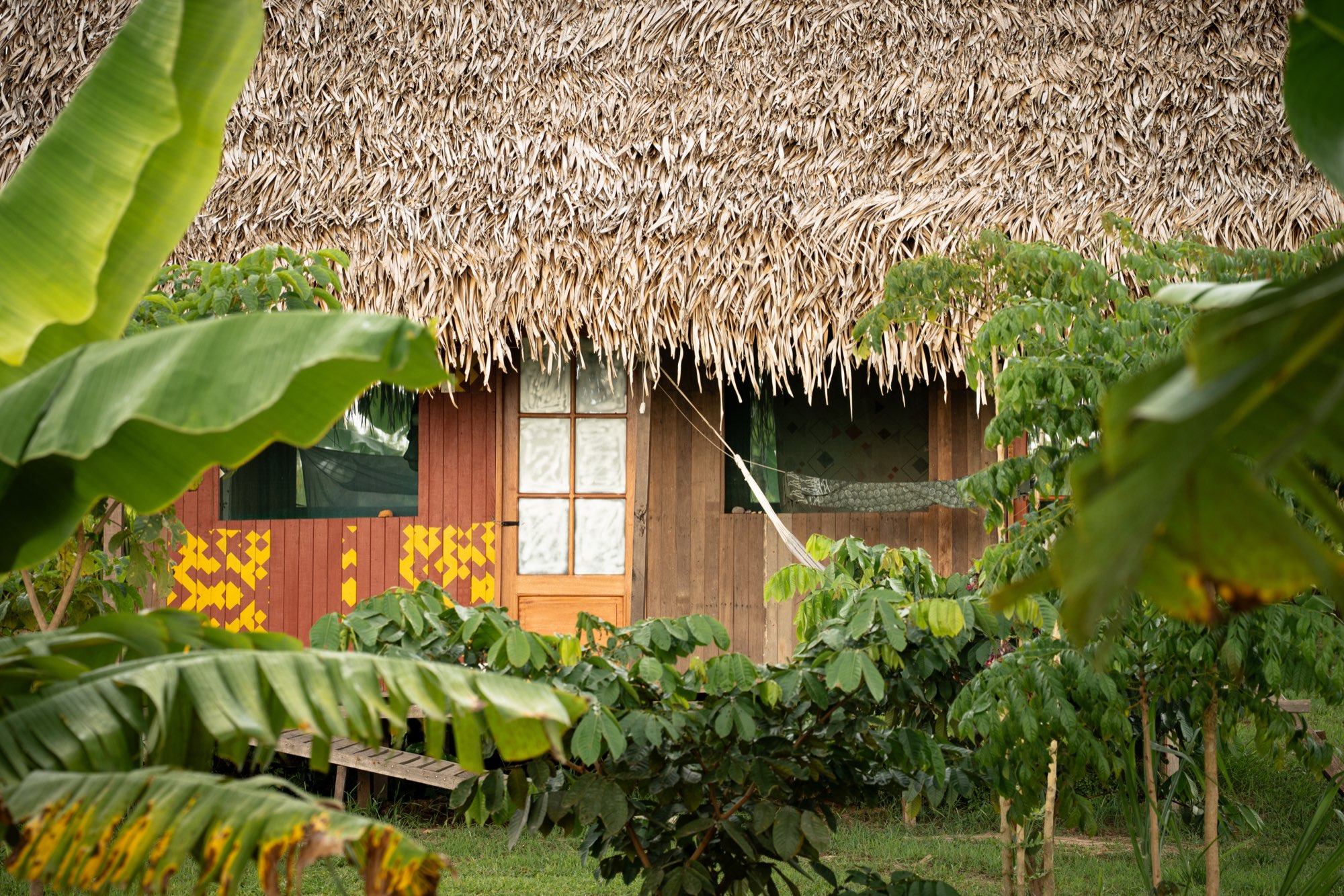 Pucallpa 9