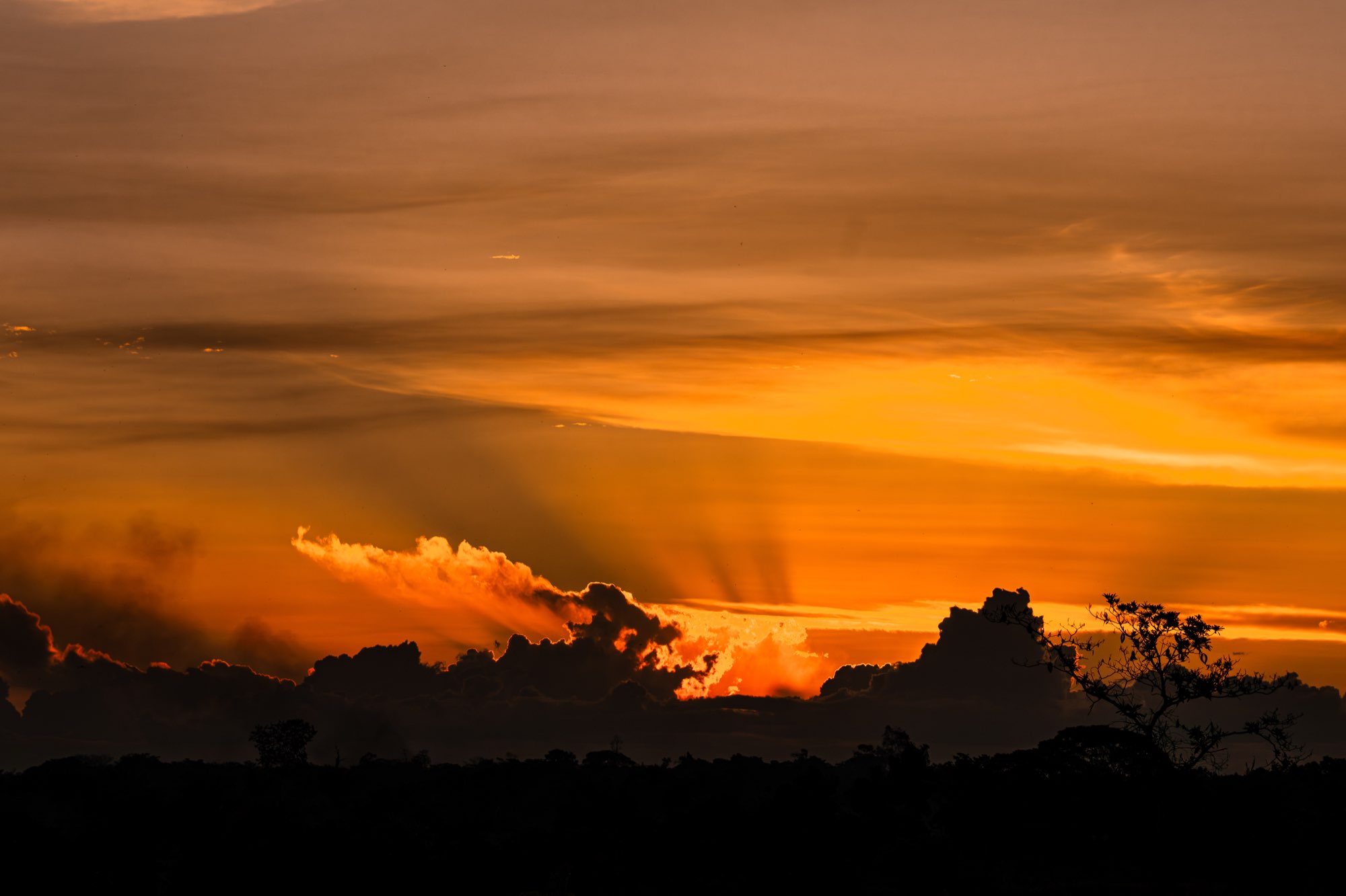 Pucallpa 29